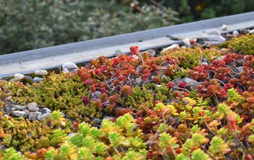 the cost of Knockmoyle green roof installation
