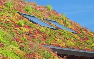 Knockmoyle living roof systems