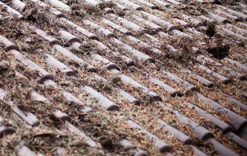 Knockmoyle roof cleaning companies